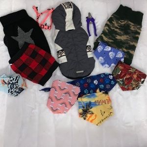 Cute X-Small Dog Bundle